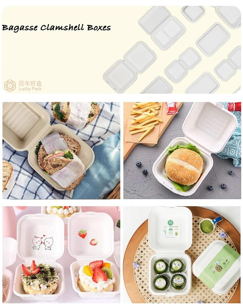 Biodegradable Sugarcane Pulp Take Away 6inch Burger Food Packaging Box