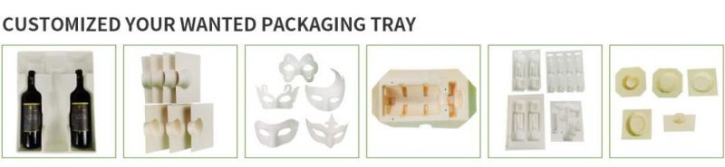 Pulp Tray Paper Win Tray & Tool Packaging Biodegradable Recycle Molded