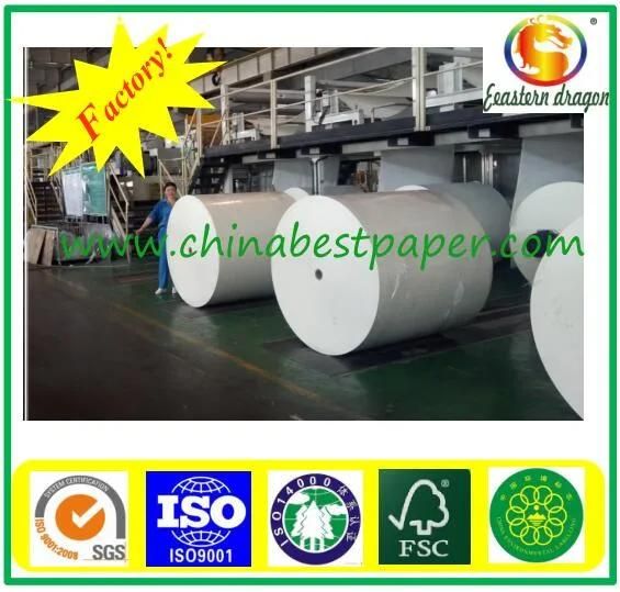 Grade AA Paper Cup Base Paper factory wholesale