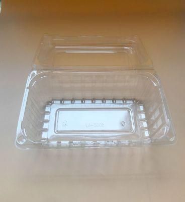 Clear Clamshell Container Lemmon Vegetable Large Capacity Food Box Plastic Packaging