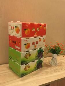 Corona Treated Printing PP Coroplast Corflute Correx Box/4-5 Colour Printing Fruit Box