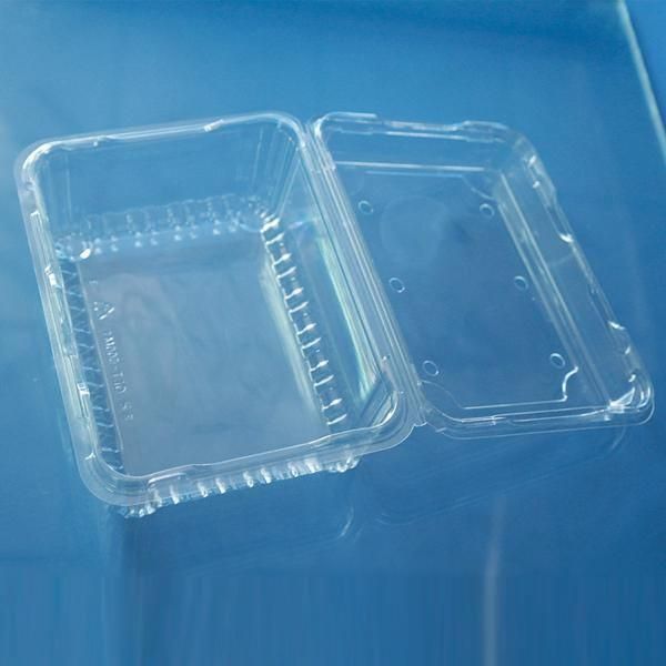 clamshell plastic packaging container/box for sale with high quality