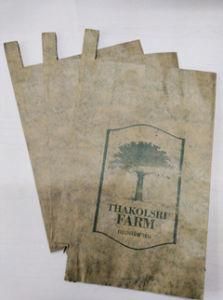 Fruit Growing Protection Paper Bag for Mango Guava Grape