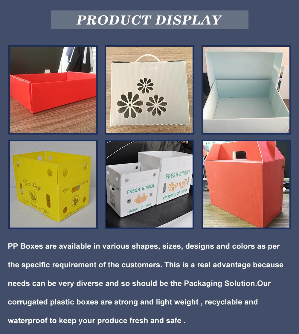 Foldable PP Corrugated Plastic Box Polypropylene Hollow Plastic Crate Corrugated Storage Box