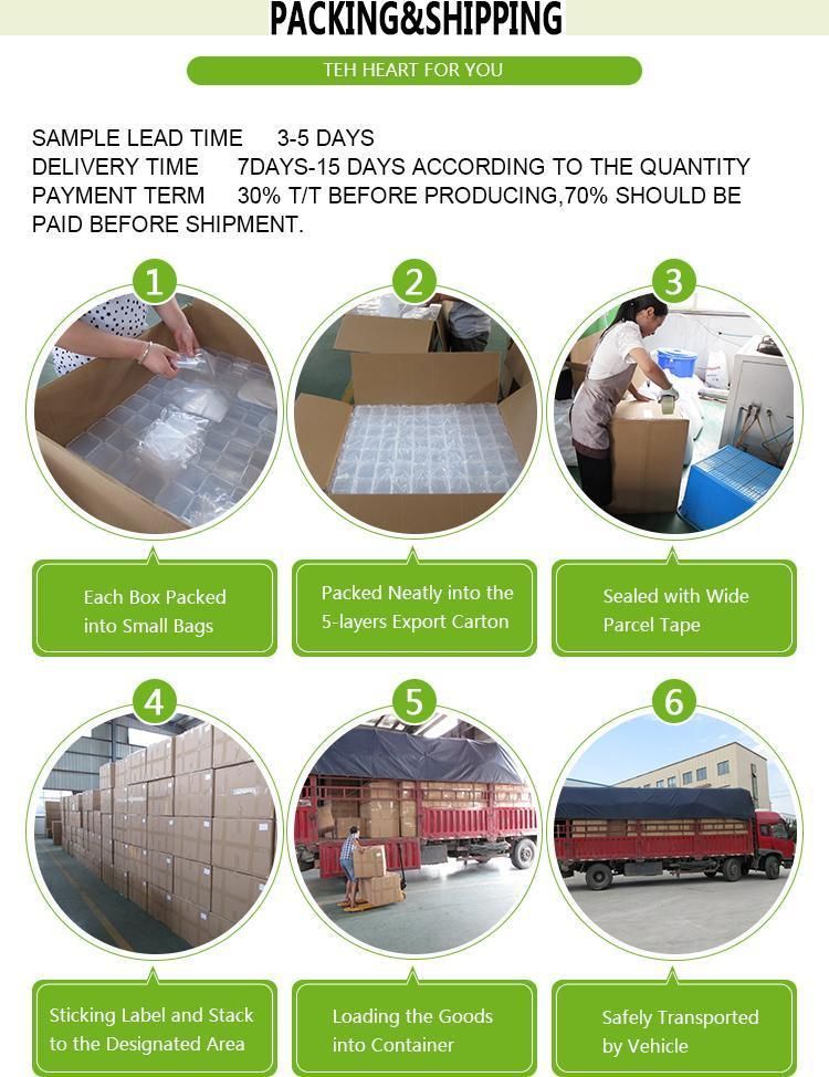 Convenient Clear PP Plastic Packaging Box