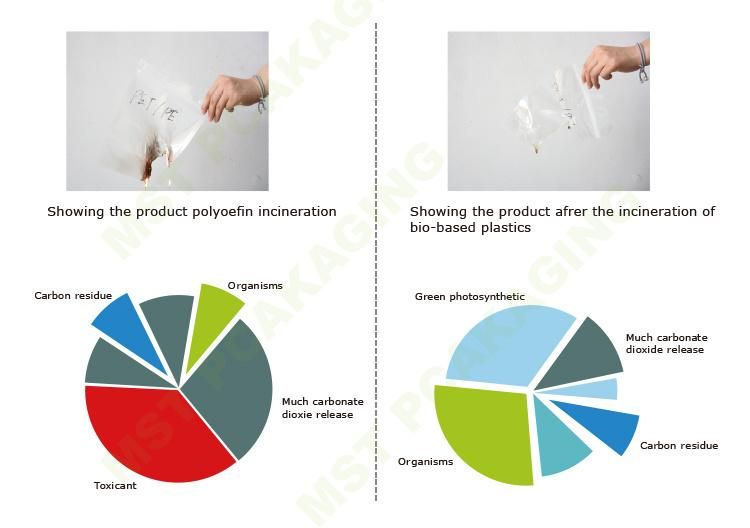 Custom Printed Compostable Biodegradable Clothes Garment Packaging Bags