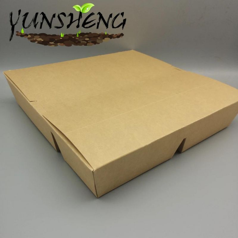 Biodegradable Food Container with Dividers and Lid Wholesale