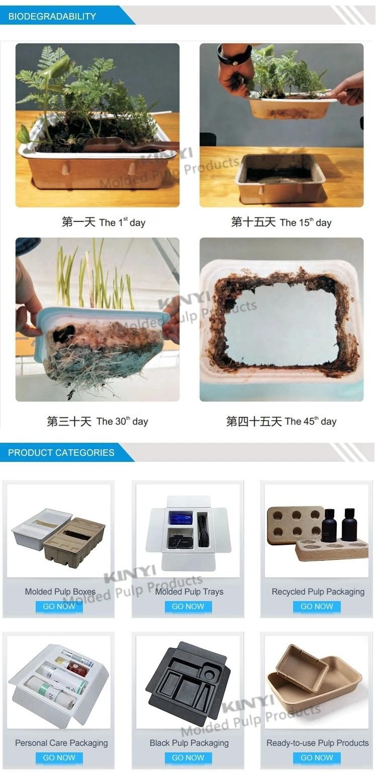 Recycle Paper Formed Sugarcane Bagasse Packaging Light Packing Box Tray