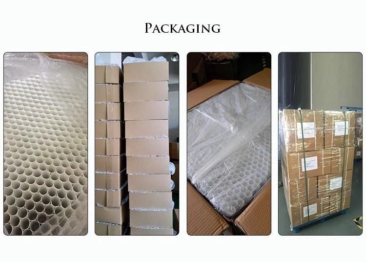 Clear Small Plastic Tube Packaging for Body Gel, Shampoo and Conditioner