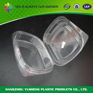 Storage Transparent Clamshell Food Container