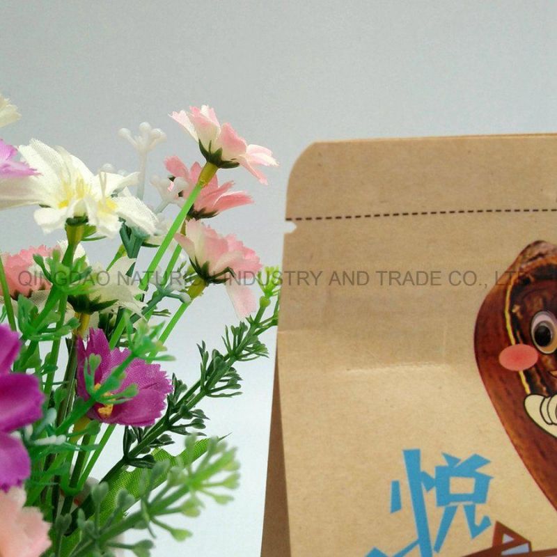 Flat Bottom Kraft Paper Pouch/Compostable Laminated Pouch/Printed PLA Pouch/Printed PLA Bag/Printed Compostable Bag