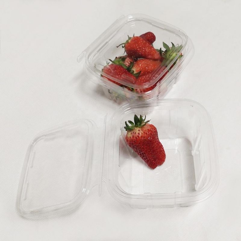 Food Packaging Biodegradable Blister Disposable Supplier Containers Clamshell Fruit Box