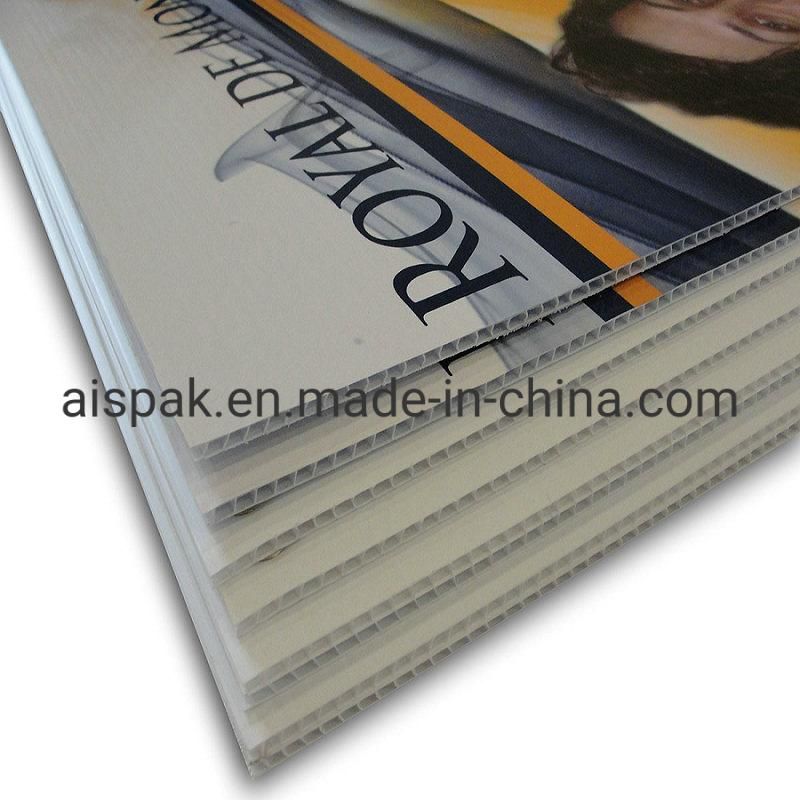 Correx File Storage Tray Corex PP Fluted Tray Corrugated Plastic Trays