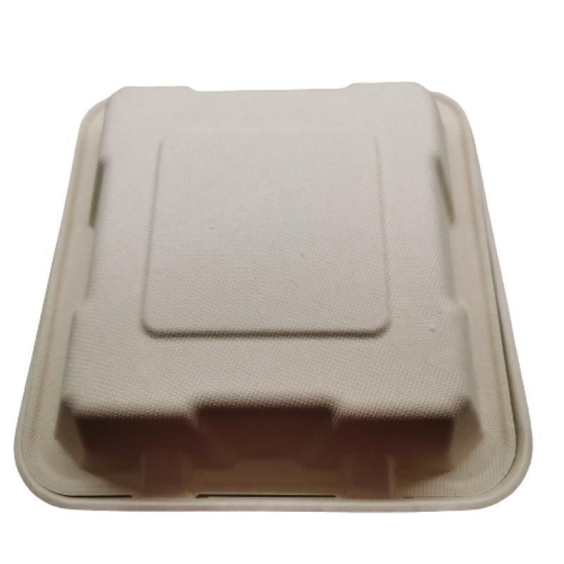 Biodegradable 8 Inch X 8 Inch 3 Compartment Food Packaging