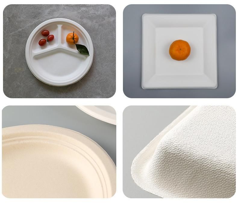 Compostable Biodegradable Tableware Sugarcane Bagasse 3 Compartment Disposable Plate