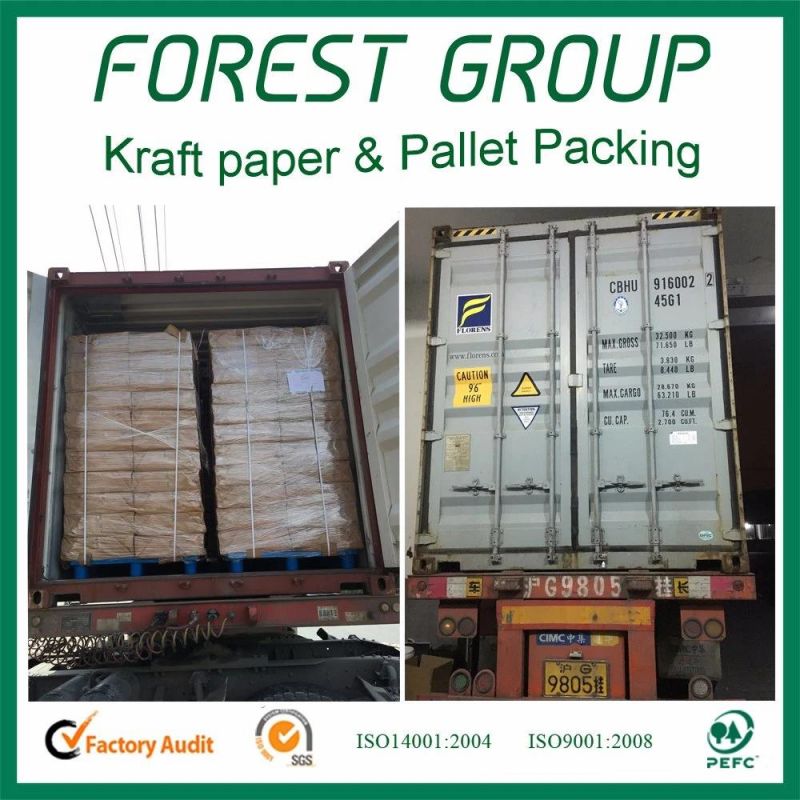 Flexo Printing Corrugated Packaging and Shipping Storage