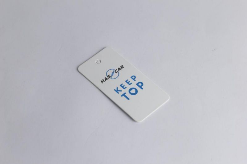 1000GSM 1mm Thick Paper Hangtag Swing Blue Hang Tag