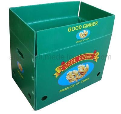 PP Coroplast Correx Corflute Plastic Carton Box