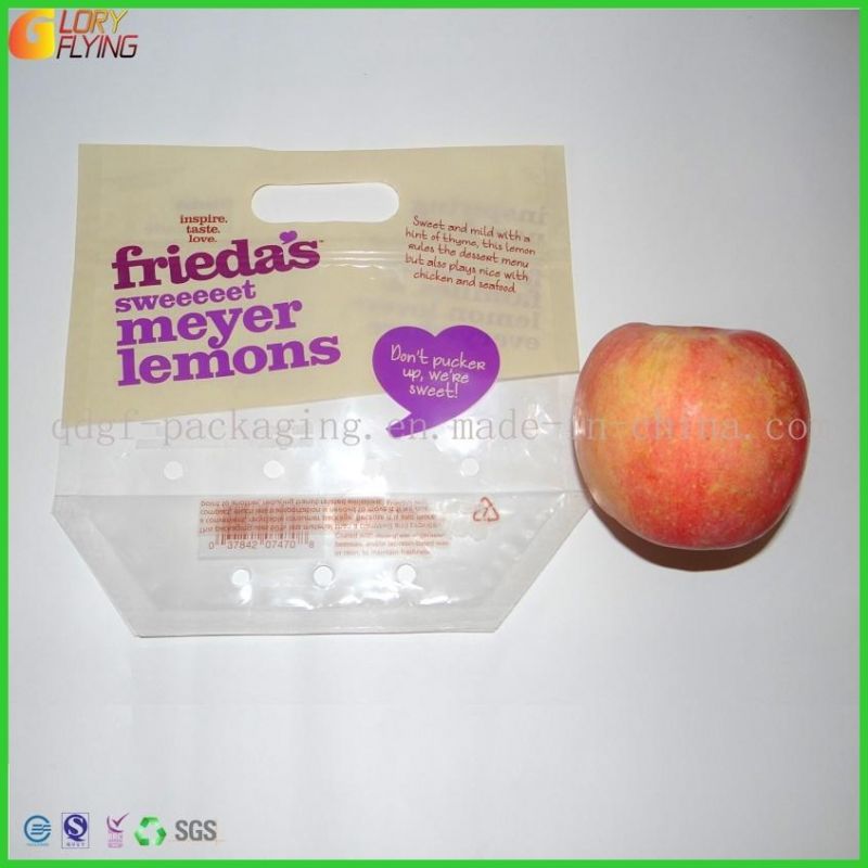 LDPE Grape Packaging Zipper Plastic Bag with Perforation