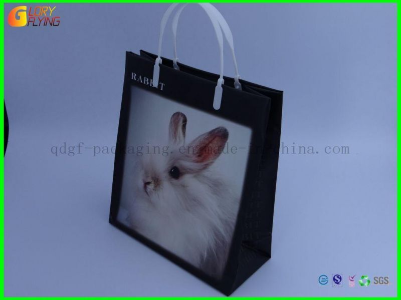 Square-Bottom Plastic Bag with Zipper/Pet Food Packaging Bags