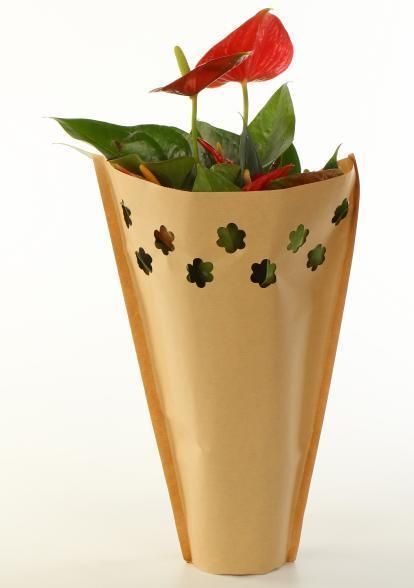 Cheap Printed Eco-Friendly Plants / Herbs Packing Paper Bags Kraft Paper Flower Packing Paper Packaging