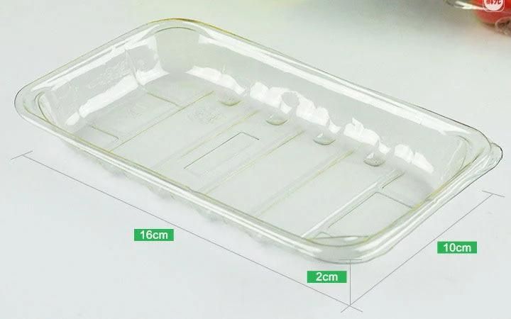 Plastic food container Disposable Recycled pet plastic Tray For Supermarket Transparent Blister