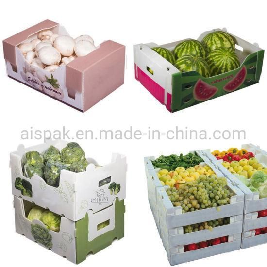 Corrugated Plastic Coroplast Seafood Fish Packing Box