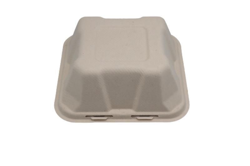 Biodegradable Sugarcane Bagasse Food Packaging 6 Inch X 4 Inch