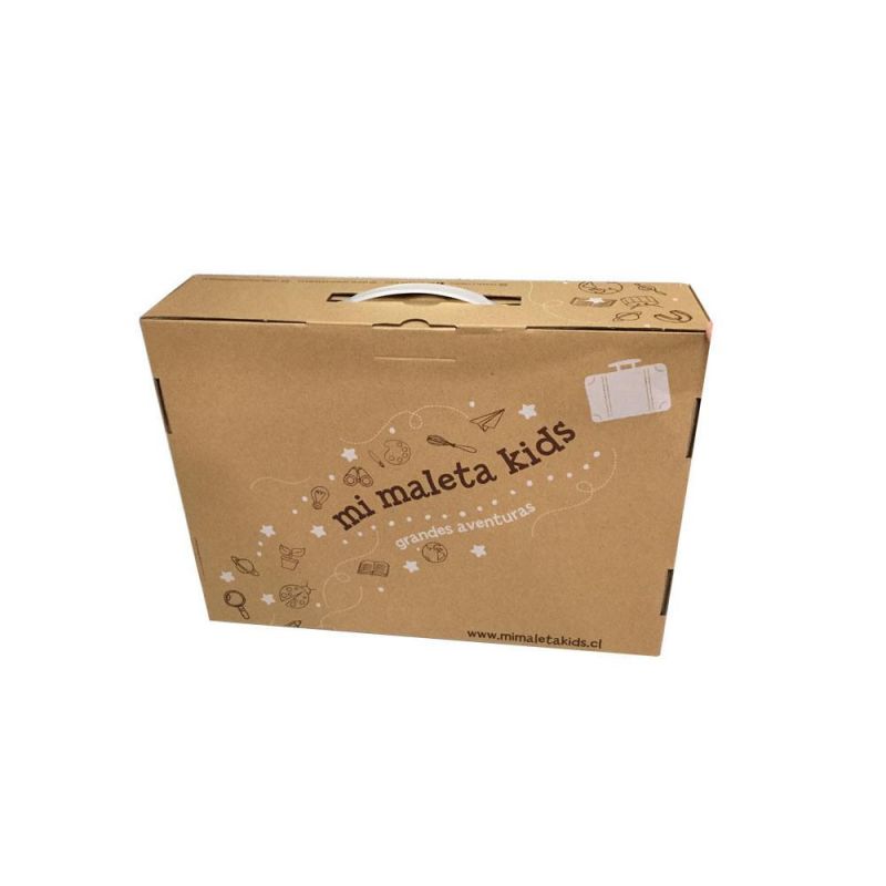 Factory Price Corrugated Cardboard Paper Box with Plastic Handle