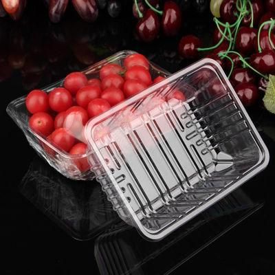 Rectangular Packing Blister Meat Fruit Food Packaging Plastic Tray Wholesale