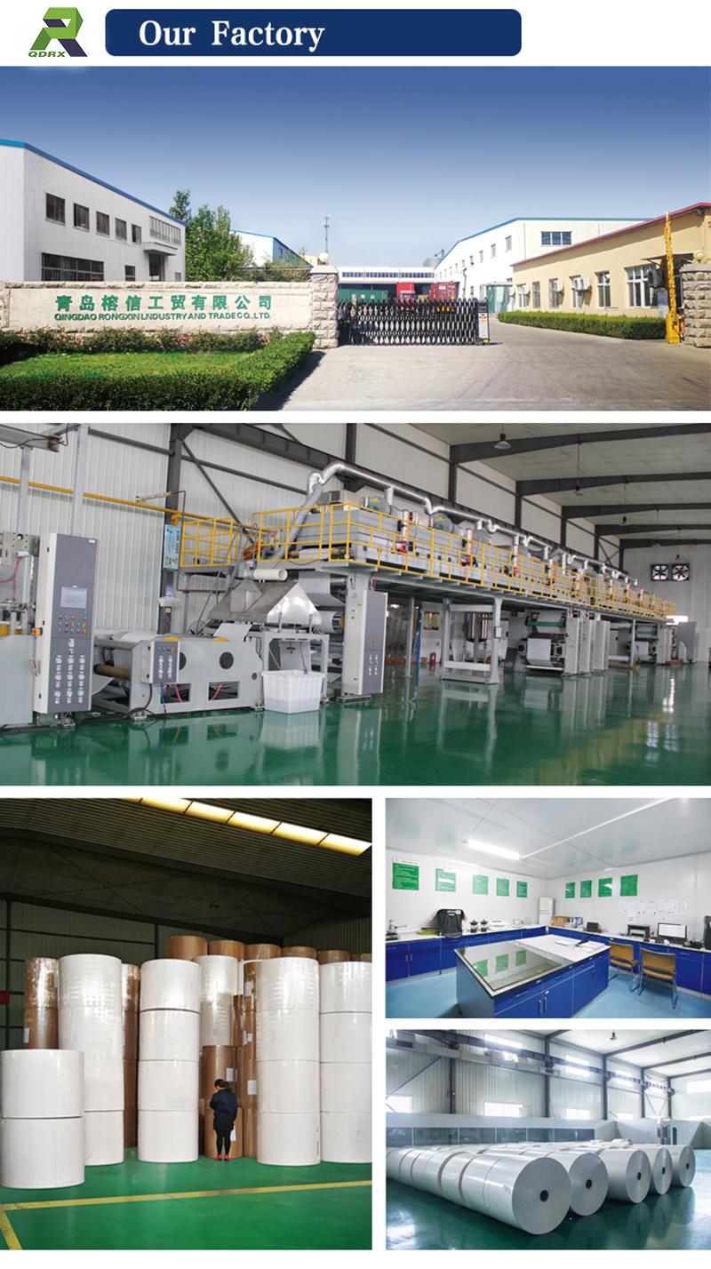 Paper Cups and Paper Container Raw Material -PE Coated Paper Supplier in China