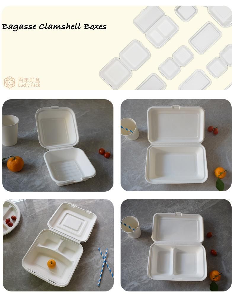 Compostable Biodegradable Disposable Eco Friendly Sugarcane Bagasse Food Container