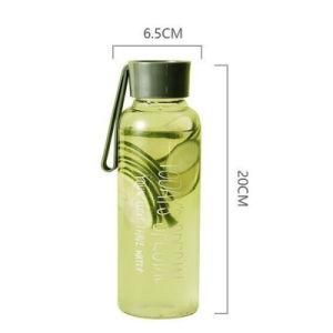 Hot Sale Wholesale Customized Styles Glass Drinking Bottles 500ml for Children