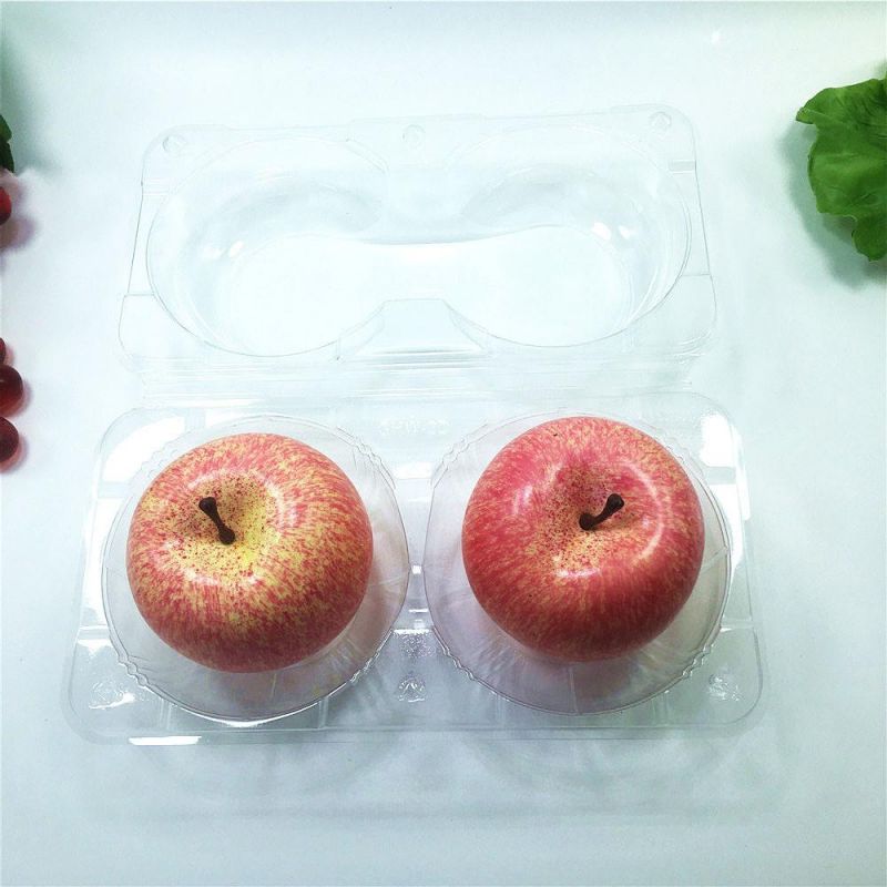 Plastic Food Fruit Packaging with Lid