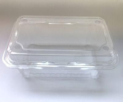 Clear Plastic PET Frozen Food Box Fresh Food Box Packaging Clamshell Potato