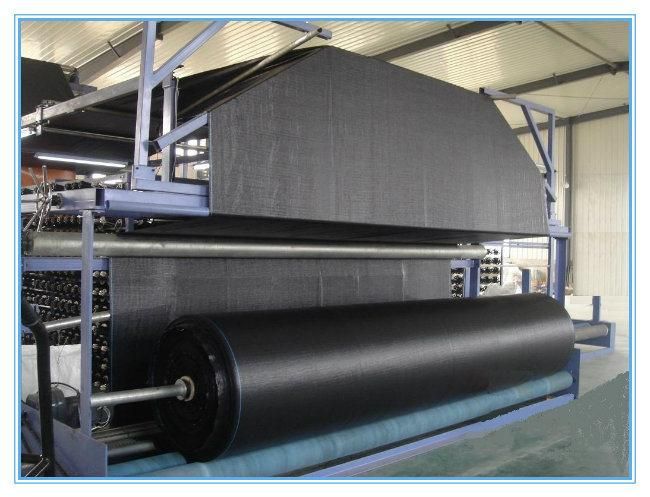 UV Resistance New PP Woven Fabric Roll From 70-220GSM