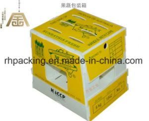 Twinwall PP Box, Plastic Carton, PP Fruit Box/Recyclable Polypropylene Corflute Fruit Box Folding Box with Printing