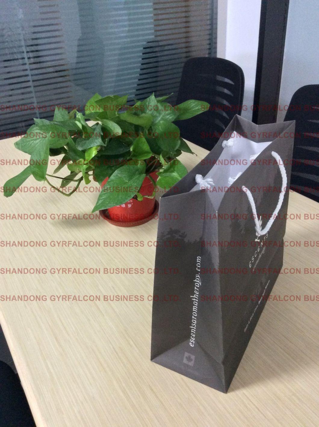 Cardboard Packaging Bag for Clothing/Gift/Shoes/Jewelry/Festival Usage