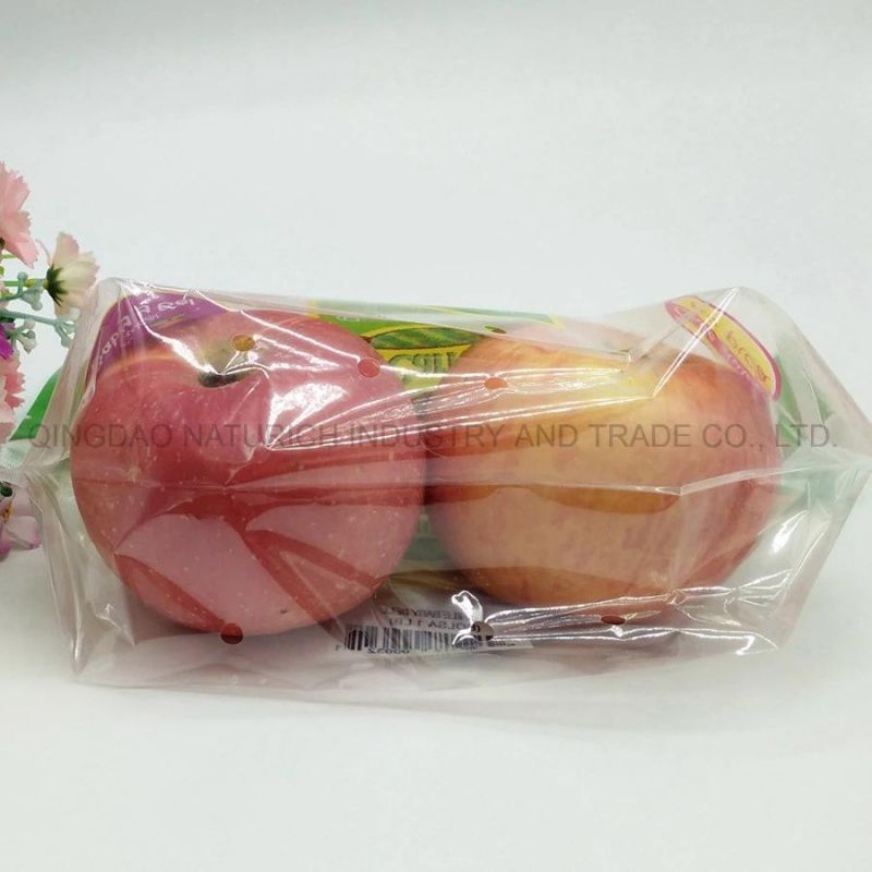 Fresh Fruit Packing Plastic Bag with Handle and Zipper Stand up Zipper Bag Plastic Zipper Pouch