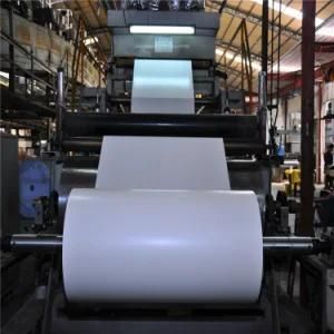 Food Grade Disposable PE Coated Paper Cup Fan for Making Cup Paper in Roll