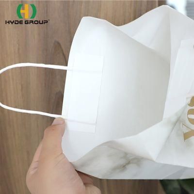 Shopping Paper Bags for Clothing/Gift/Jewelry/Festival Custom Design Printing Paper Bag