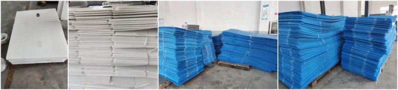 Plastic Packaging Transport Box PP Coroplast Corrugated Box for Farming