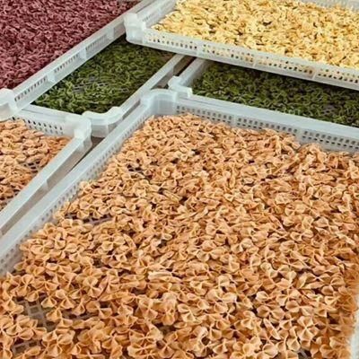 Food Grade Plastic Agricultural Tray for Drying for Food