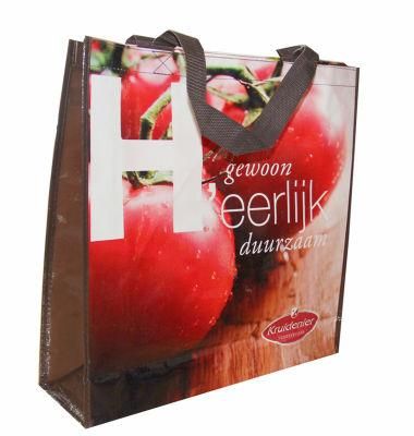 Factory Price PP Woven Fruit Hand Bag for Promotion