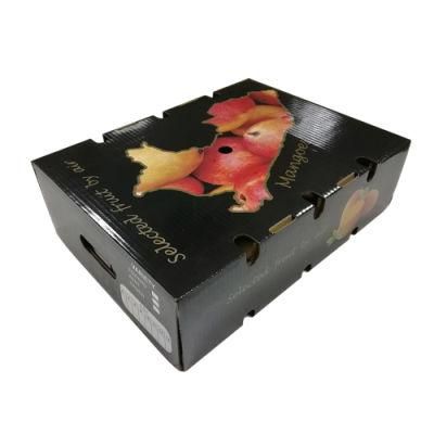 Flat Pack Custom Printing Mangoes Packaging Box