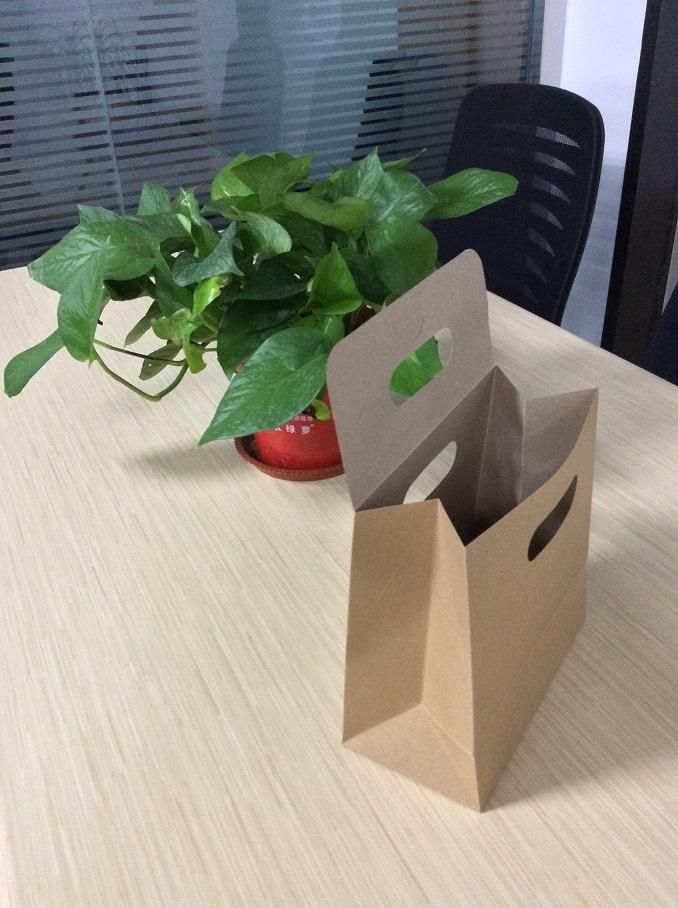 100% Eco-Friendly Art Paper/Cardboard with Custom Logo Printed Packaging Paper Bag