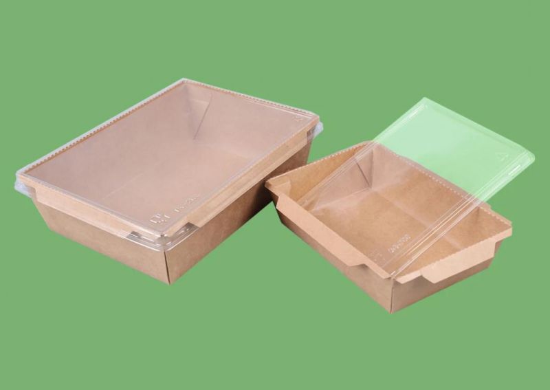 Customized Logo Printing Food Grade Paper Box Sushi Takeaway Box