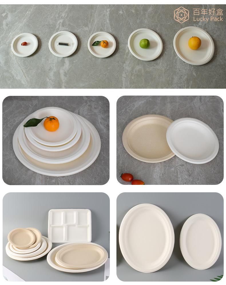 Compostable Disposable Biodegradable Eco Friendly Tableware Sugarcane Bagasse Plate