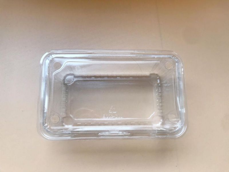 Clear Plastic PET Frozen Food Box Fresh Food Box Packaging Clamshell Potato