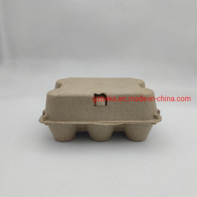 6 Holes Eco Friendly Egg Carton Biodegradable Pulp Egg Tray with Lid Recycled Egg Box